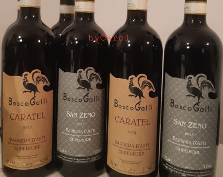 Alcuni vini della Cantina Bosco Galli, degustatore articolo Piergiorgio Ercoli