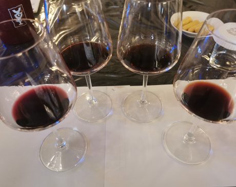 Calici degustazione Il Borro Ferragamo Wine&Siena 2022