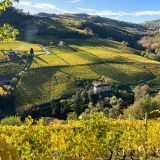 Territorio e vigne della Cantina Beppe Marino Vini