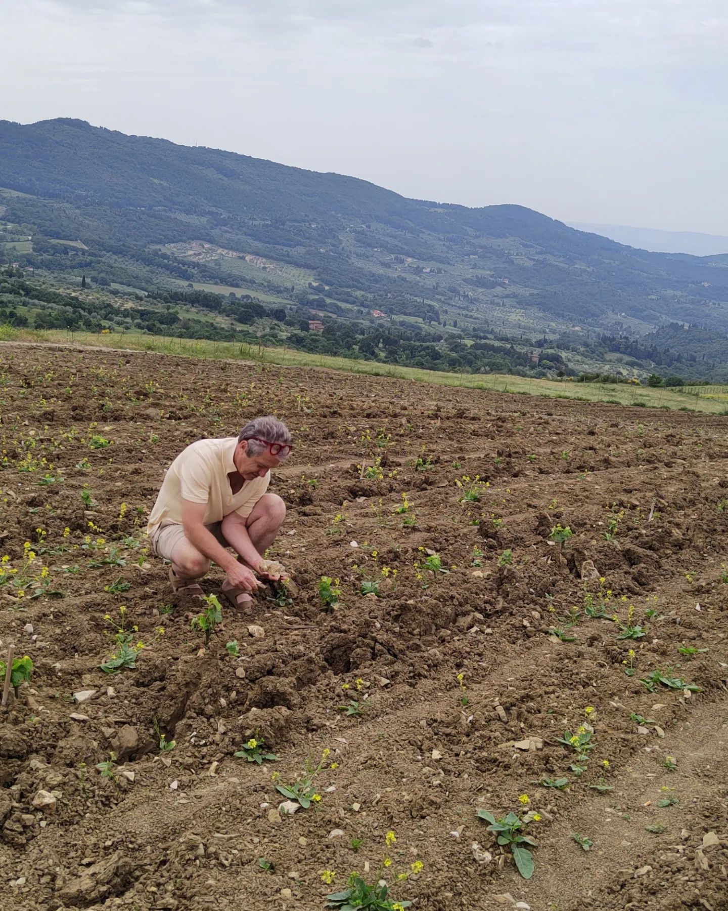 Bibi Graetz nella sua nuova vigna