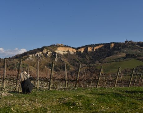 Volterra, 3000 anni di storia, cultura e… vino