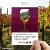 Delite, vini di territorio a Montemarano 2022