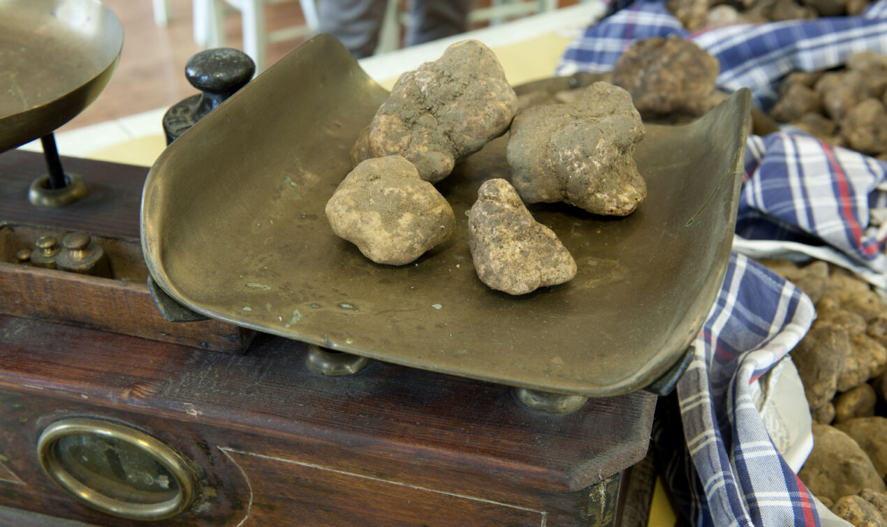 Gota di San Miniato o la Salciccia di Tartufo Bianco sempre di San Miniato