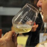 I vini gastronomici a Terre di Pisa