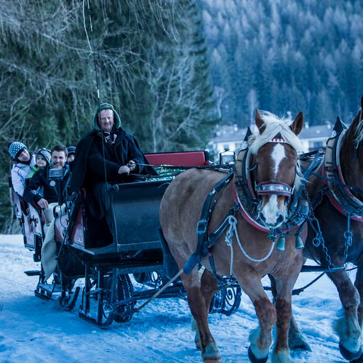 Le escursioni in carrozza in Valle Aurina