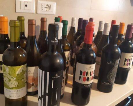 I vini in campionatura della cantina Pietra Cava, articolo: Pietra Cava, alcune degustazioni vini di Elsa Leandri 2022
