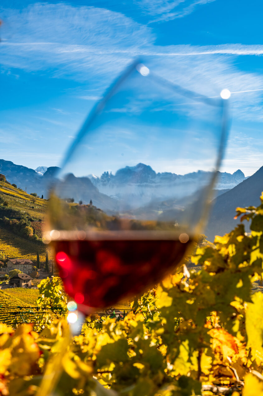 Linea Puntay di Erste+Neue 2022 i vini di montagna
