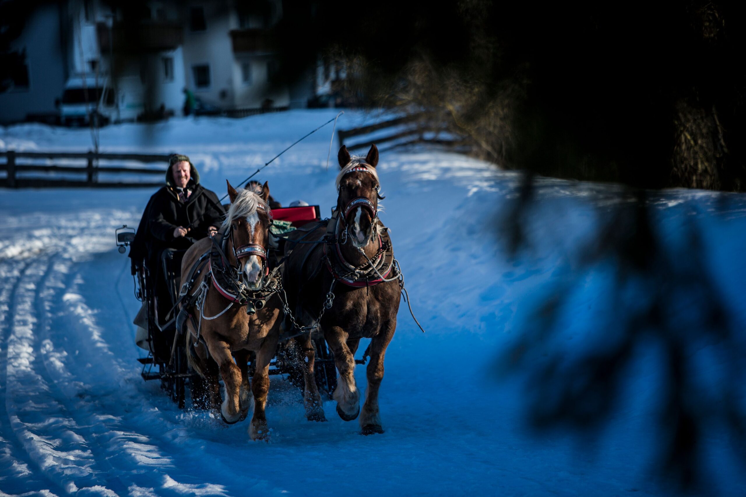 Gita in carrozza, articolo: Alpenpalace Luxury Hideaway & Spa Retreat 2022/2023, foto da comunicato stampa