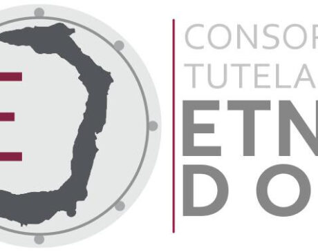 Logo Consorzio di Tutela Etna DOC, immagine da comunicato stampa