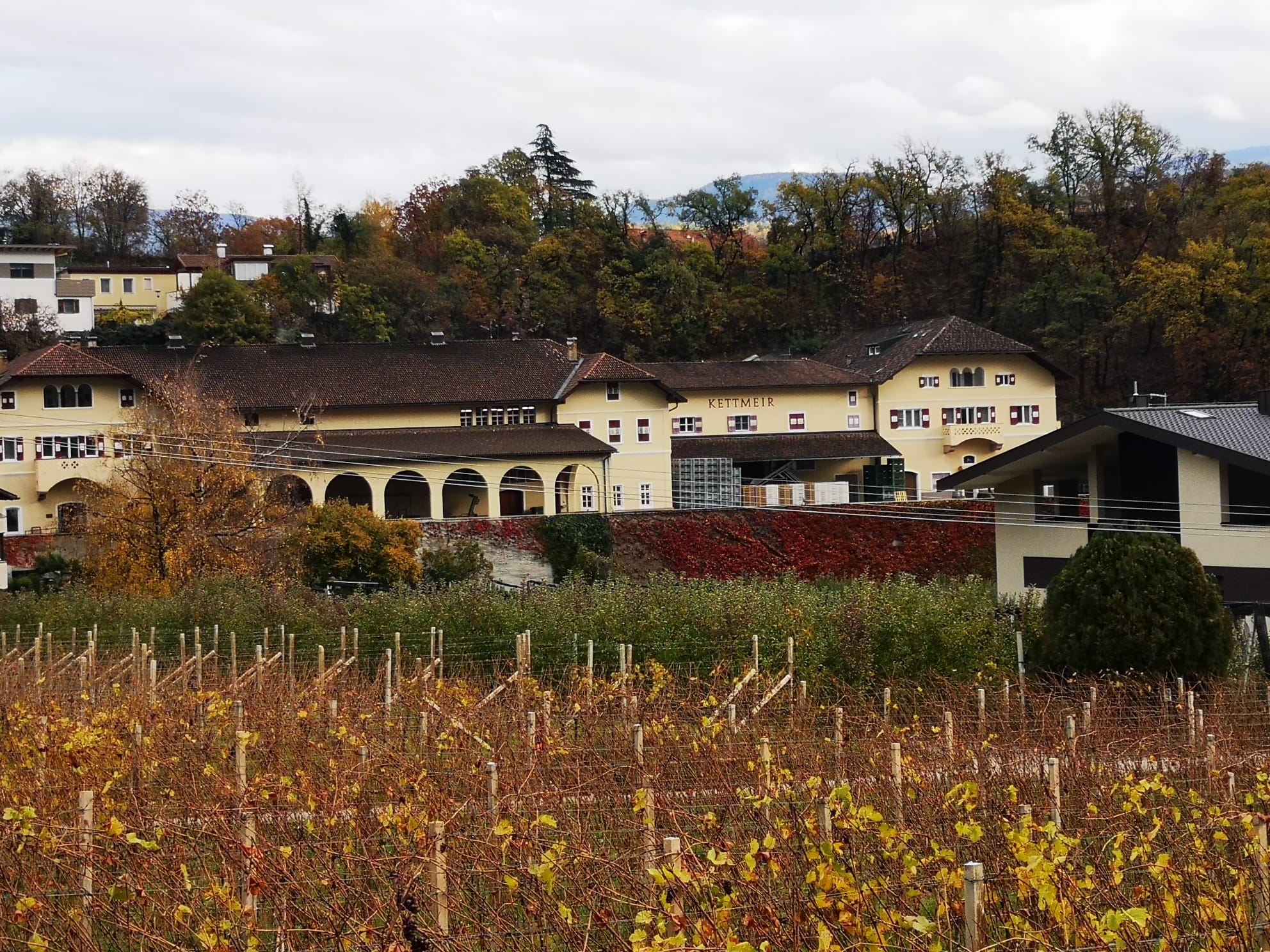 La Cantina Kettmeir, articolo di Cristina Santini