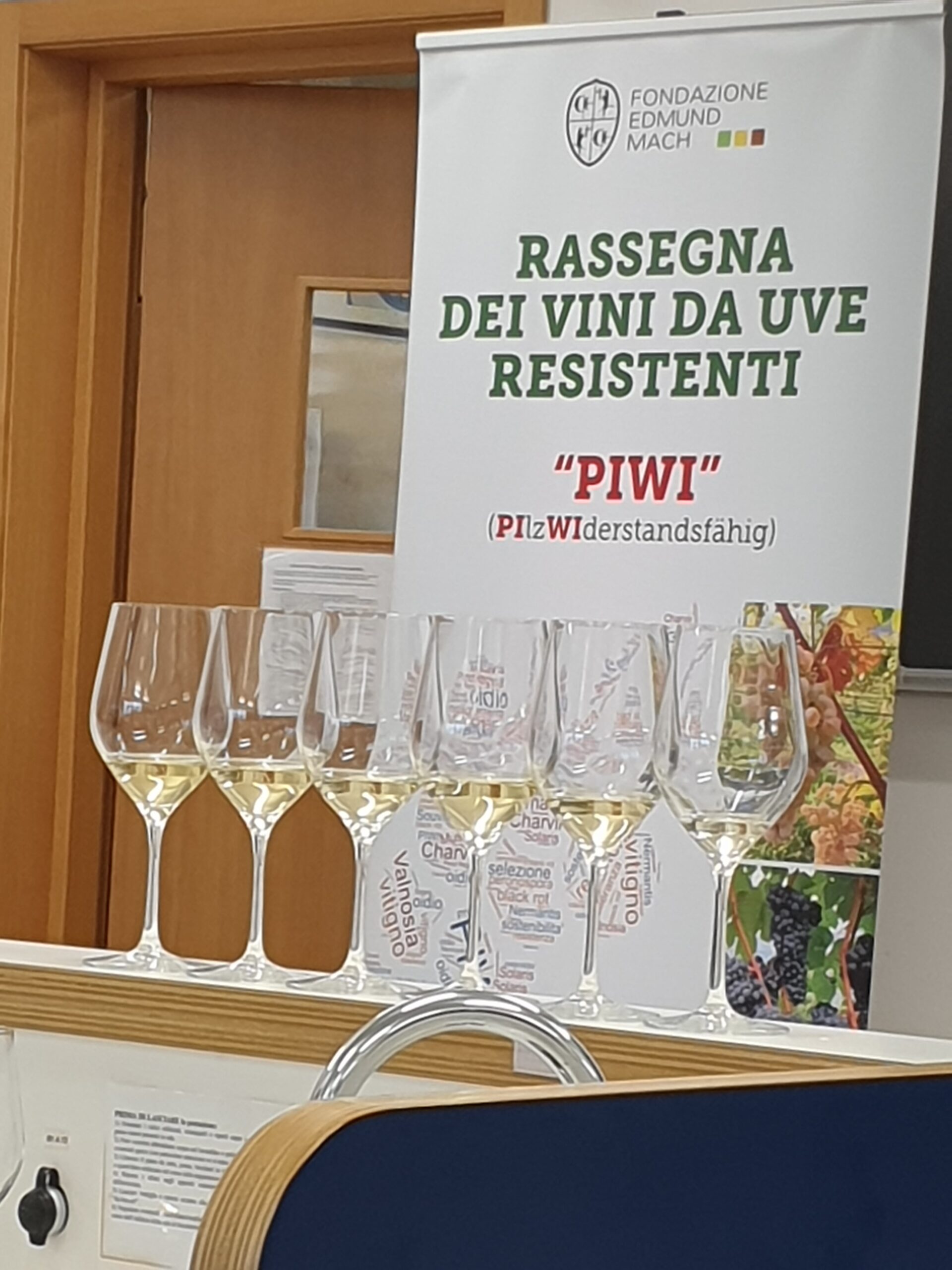 Batteria di vini bianchi fermi da uve Piwi, foto di Rosaria Benedetti