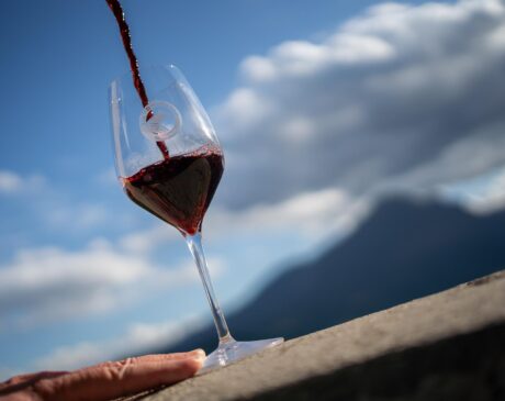 Interventi straordinari dei vini d'Abruzzo 2023, foto da comunicato stampa