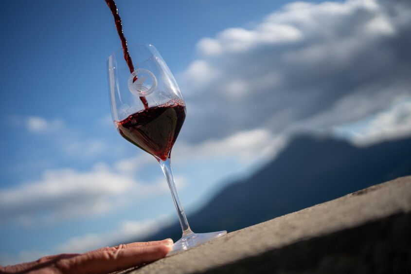Interventi straordinari dei vini d’Abruzzo 2023