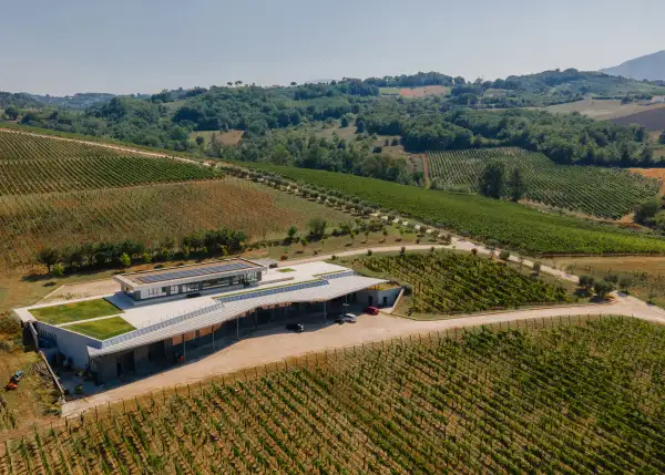 Cantina Fonzone, foto da sito