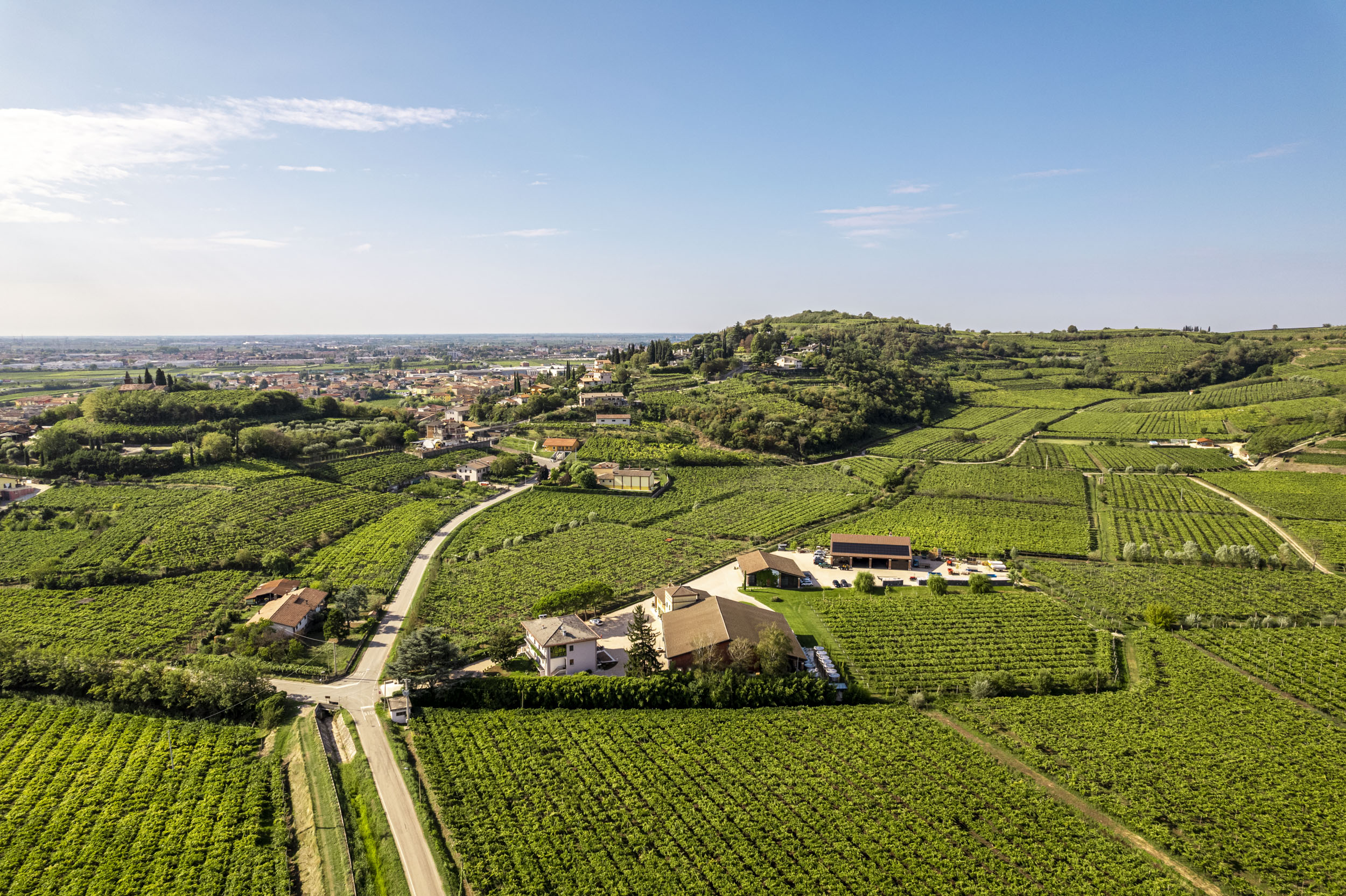 Qui prendono vita i suoi vini, dai vigneti allevati tra le colline del Soave e della Valpolicella, foto da comunicato stampa
