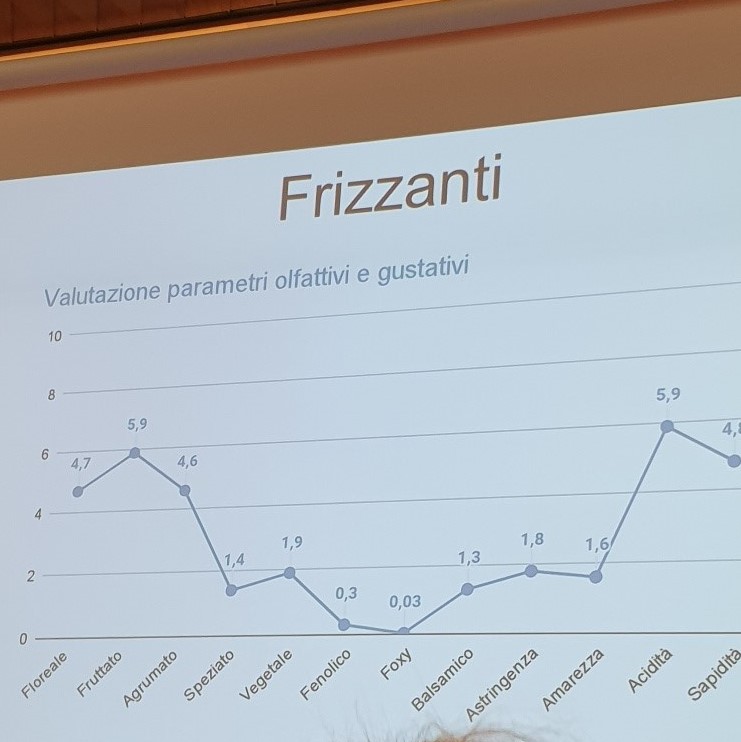 Grafico dei parametri organolettici dei vini frizzanti, foto di Rosaria Benedetti