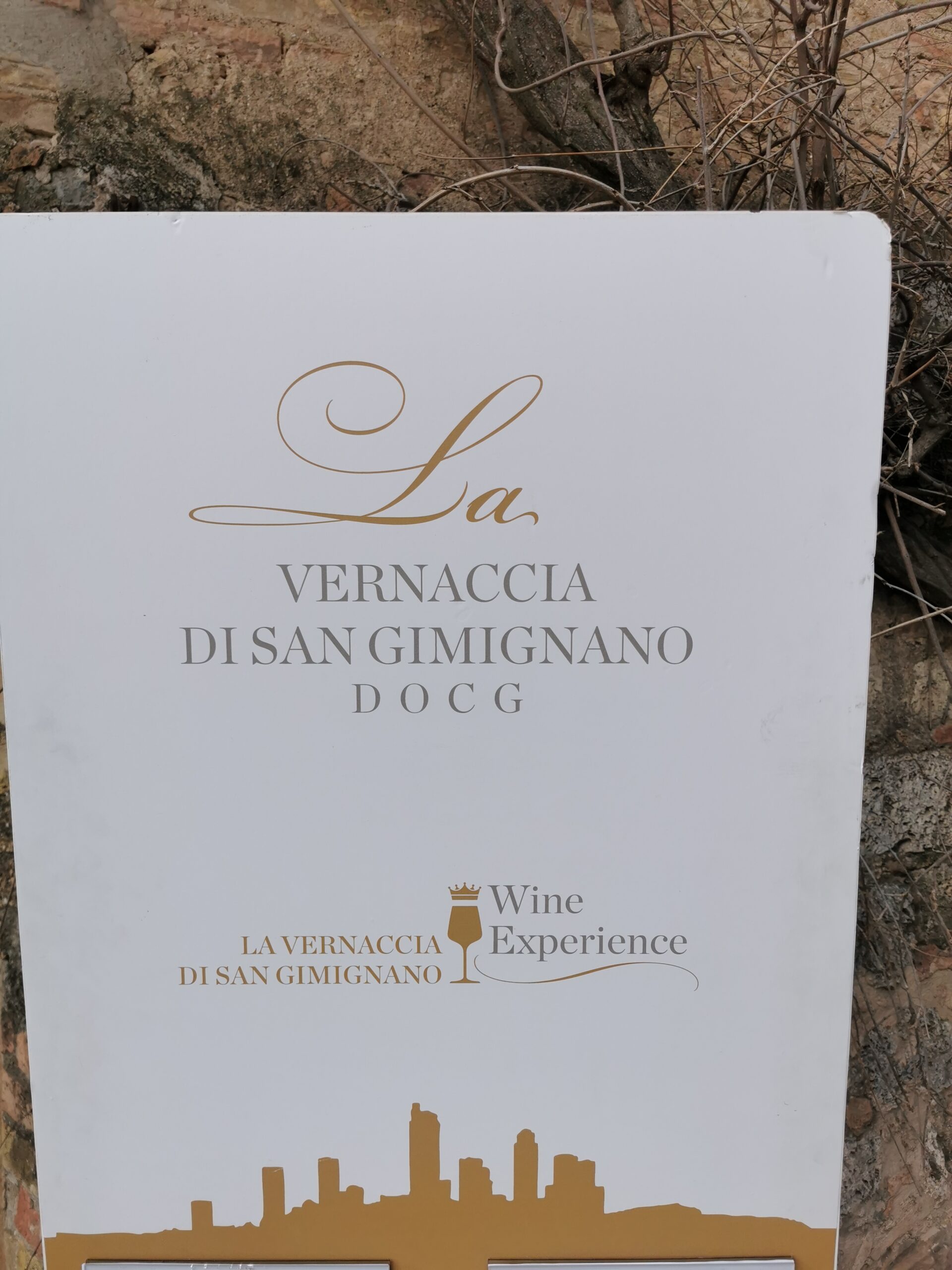 La Vernaccia di San Gimignano DOCG, foto di Elsa Leandri
