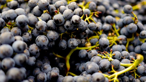 Vinitaly è la prima fiera del vino e dei distillati rivolta agli operatori del business sui mercati internazionali, foto da internet