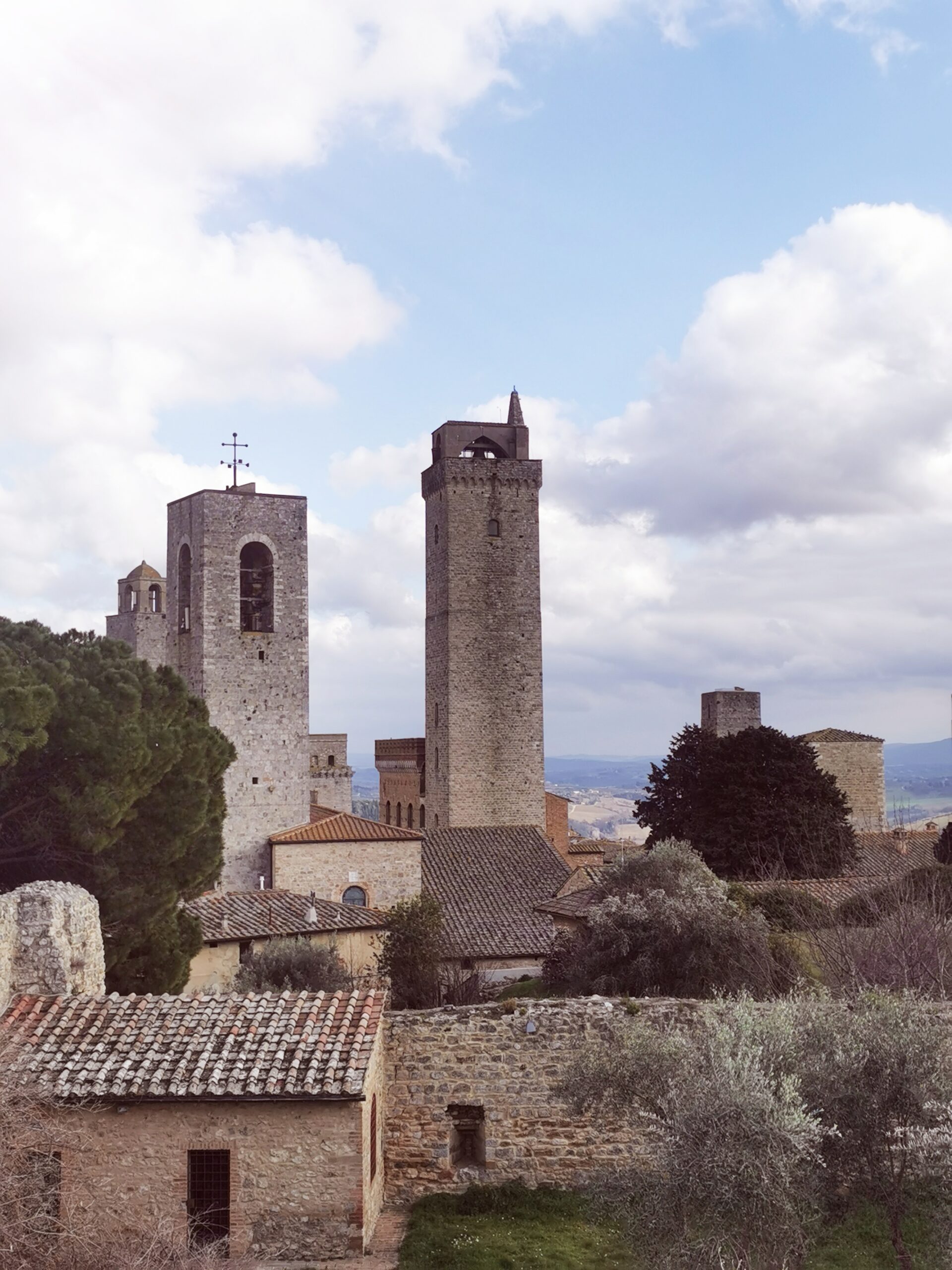 Il Panorama di San Gimignano, articolo: Anteprima Vernaccia di San Gimignano 2023 di Elsa Leandri, foto dell'autrice