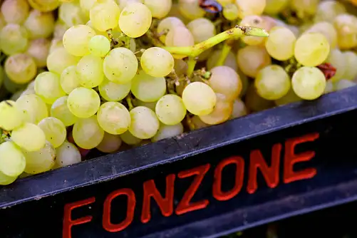 Cassetta di uva della Tenuta Fonzone, foto da sito