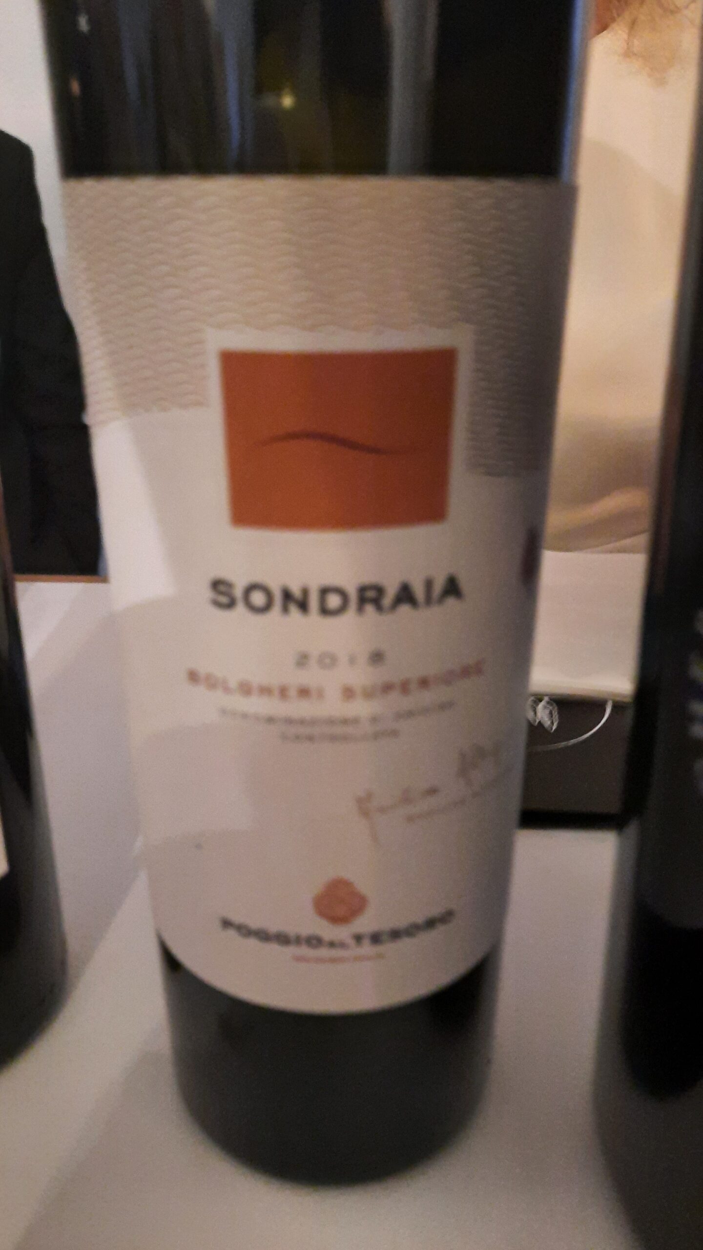 Bolgheri Rosso Superiore Sondraia 2019 Poggio al Tesoro, articolo: Bolgheri alla 15° edizione di Terre di Toscana di Acquabona, foto di Adriano Guerri