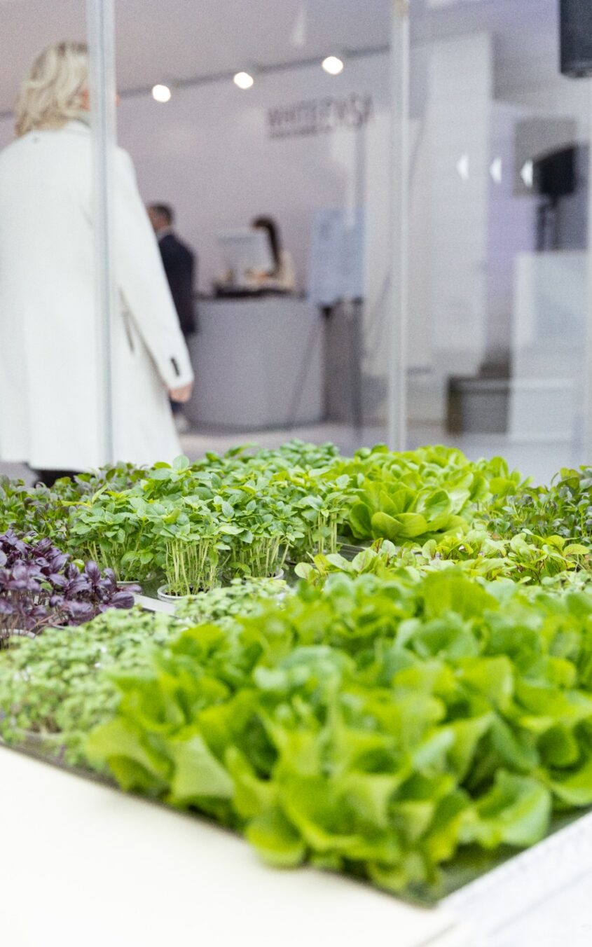 BioQitchen 2023: ” Fair Food Innovation Lab” Mauro Benincasa