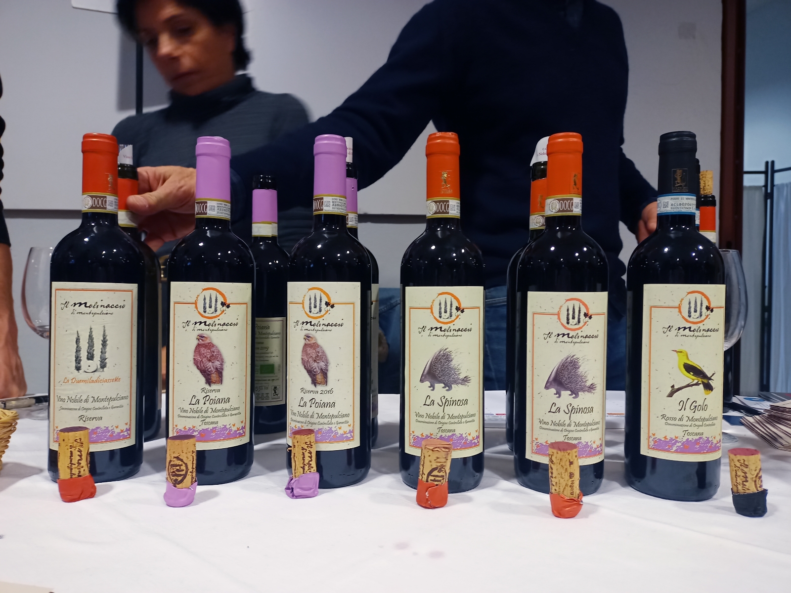 Line up Il Molinaccio, articolo: Anteprima Vino Nobile di Montepulciano 2023 di Cristina Santini, foto dell'autrice