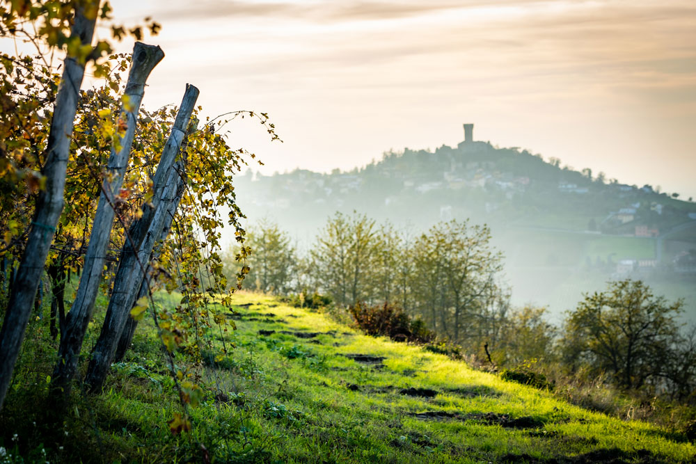 Il territorio, articolo: Terre d’Oltrepò presenta la nuova linea di La Versa 2019, foto da sito