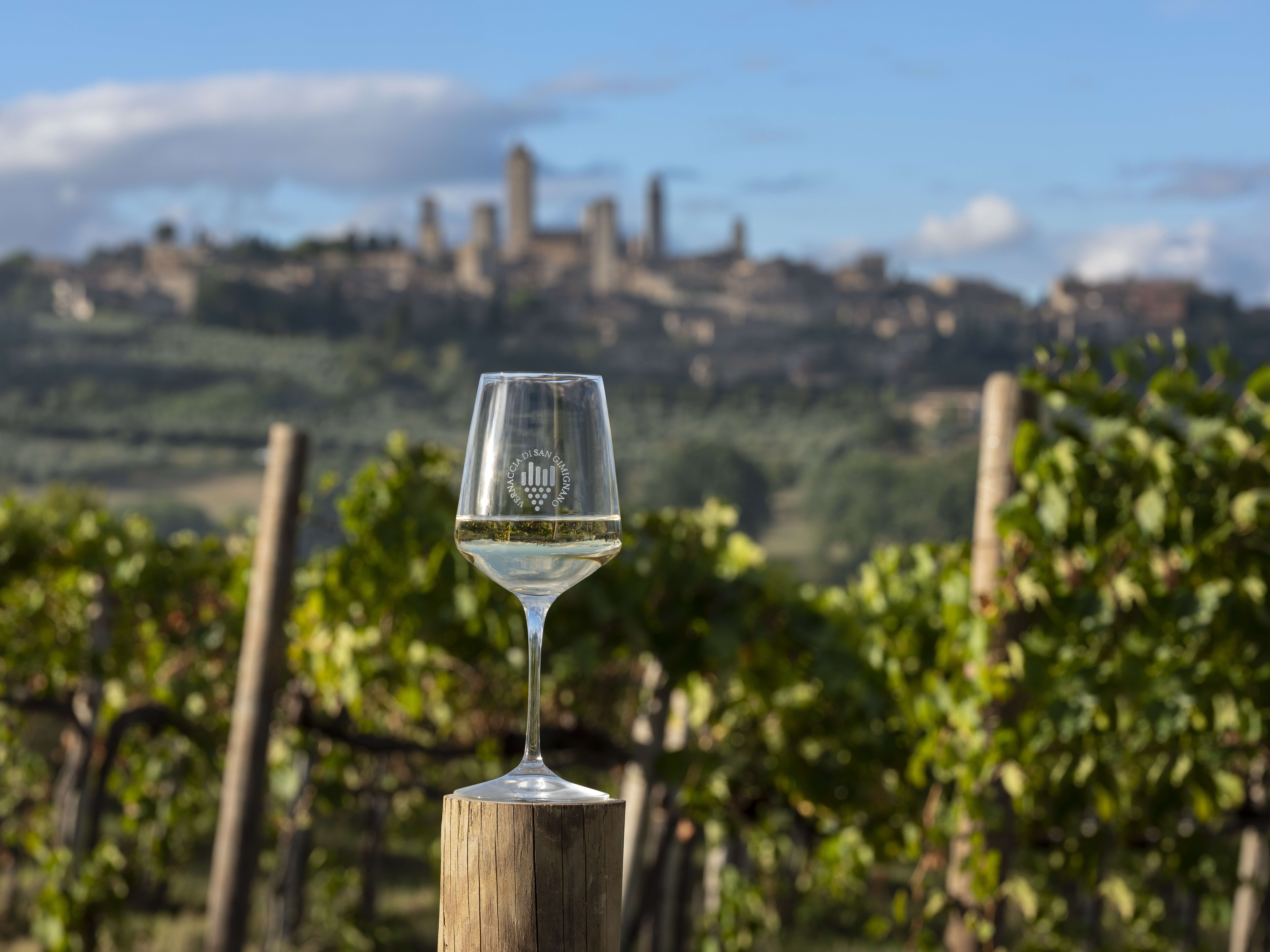 Consorzio del vino Vernaccia di San Gimignano Vinitaly 2023