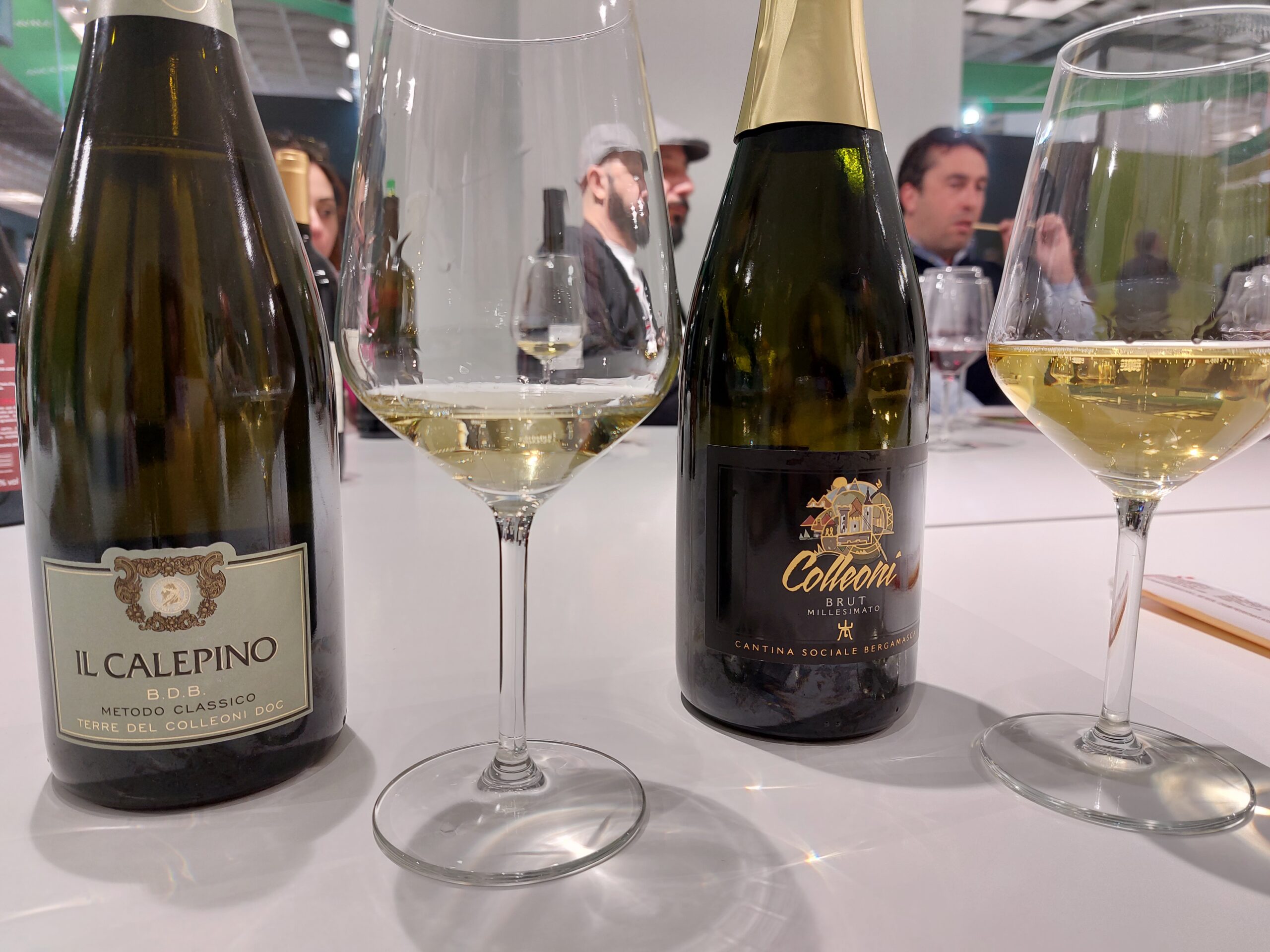 Alcuni vini della cantina sociale Bergamasca e terre del Colleoni Doc al Vinitaly 2023, foto di Carol Agostini