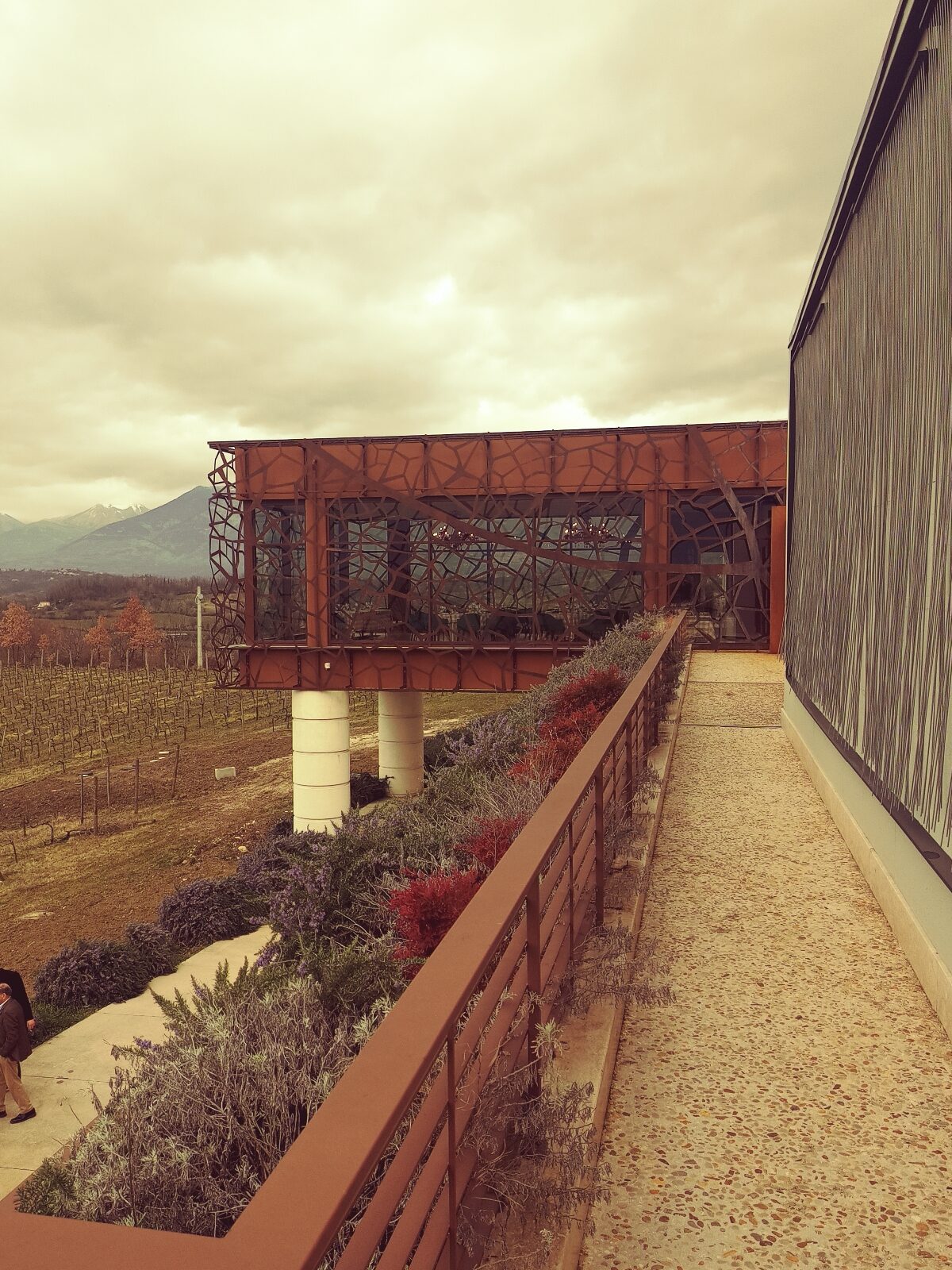 Sala di degustazione Antica Tenuta Palombo, foto di Cristina Santini