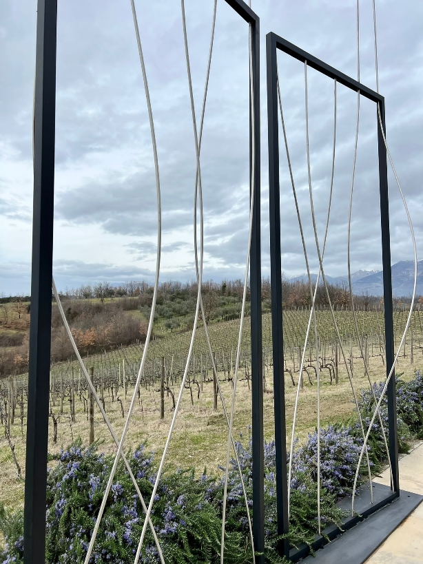 La Collina Sonora, Antica Tenuta Palombo, foto dell'autrice