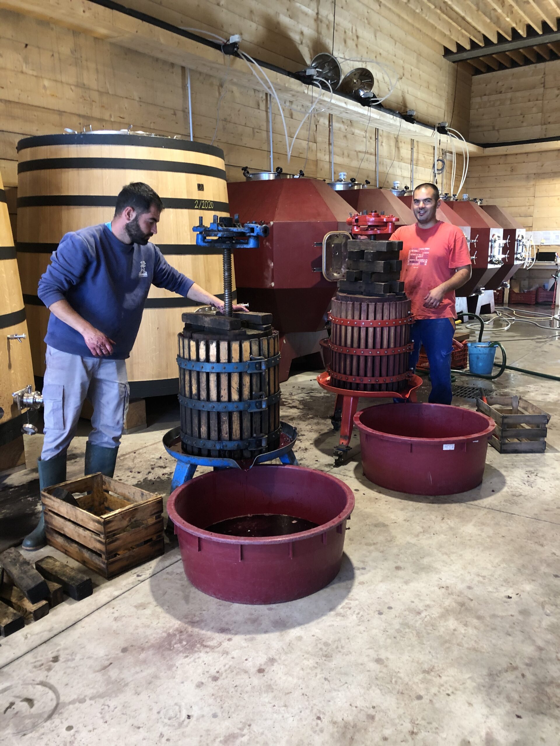 Torchi di legno in cantina, articolo: Bentu Luna Economia Agricola Circolare 2023, Neoneli, foto da sito