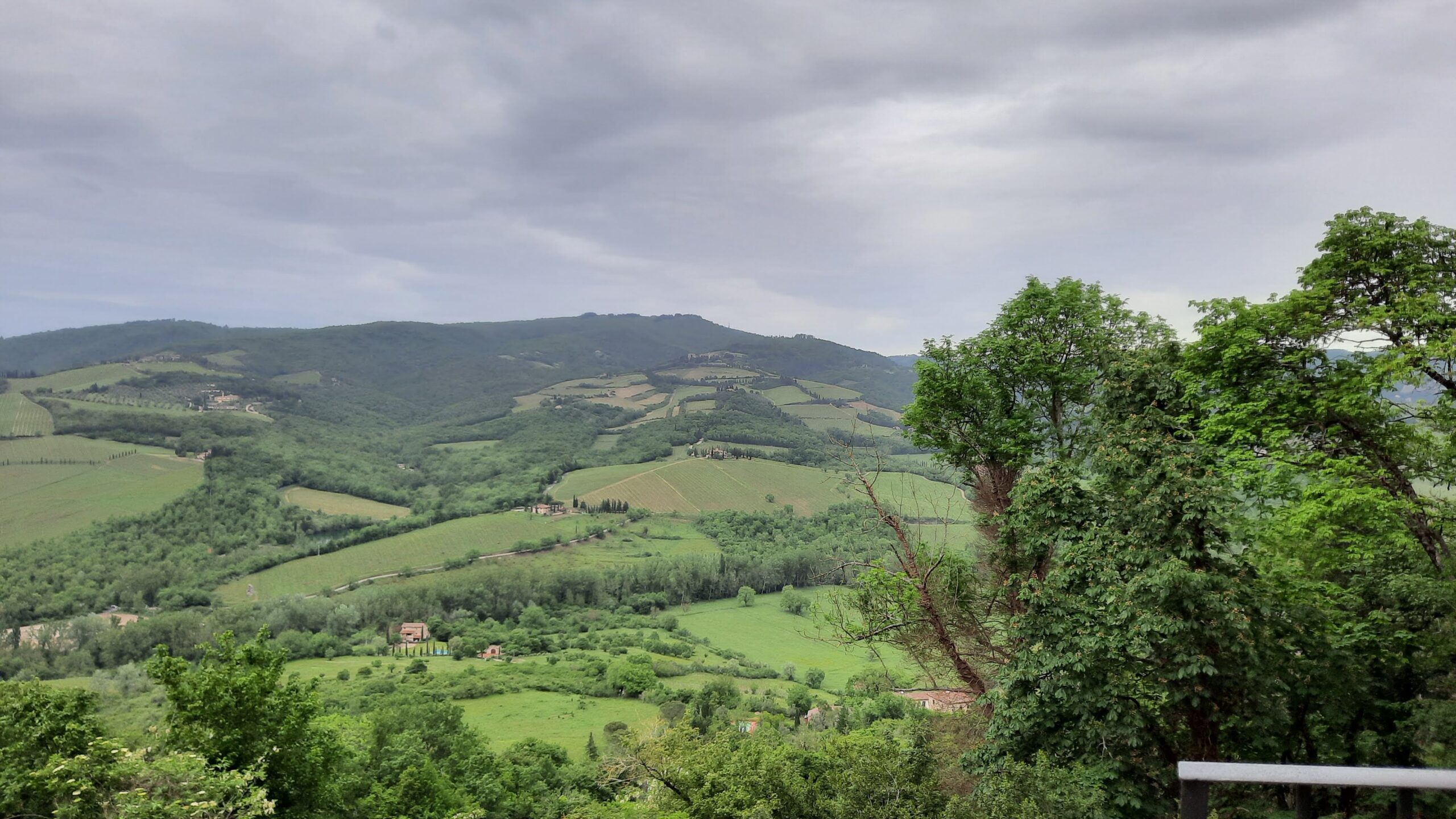 Radda in Chianti evento Radda nel Bicchiere 2023 panorama, foto di Adriano Guerri