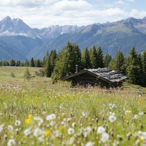 Rio Pusteria e le Malghe in fiore 2023 con tante scoperte, foto da comunicato stampa