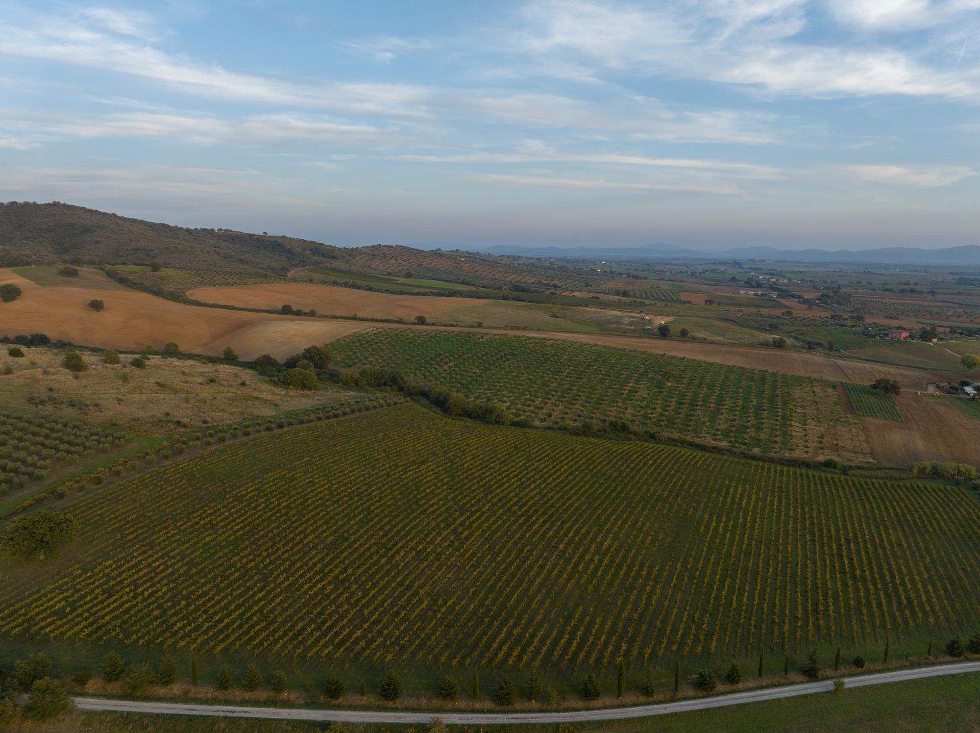 Il territorio Doc Maremma Toscana, foto da comunicato stampa