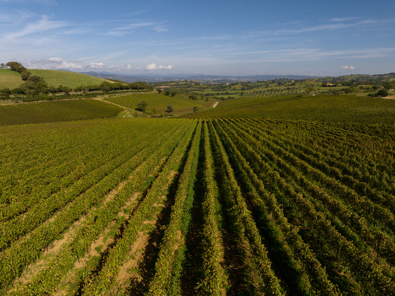 Doc maremma Toscana zona Preselle, foto da comunicato stampa