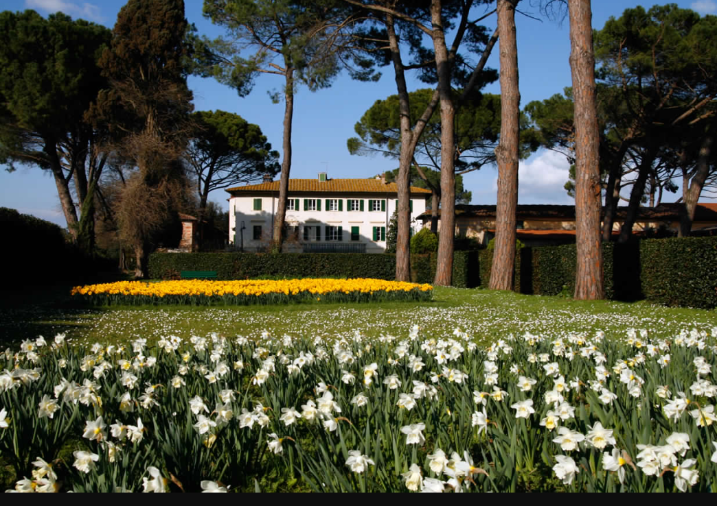 Fattoria Montellori nelle terre del Chianti, foto da sito