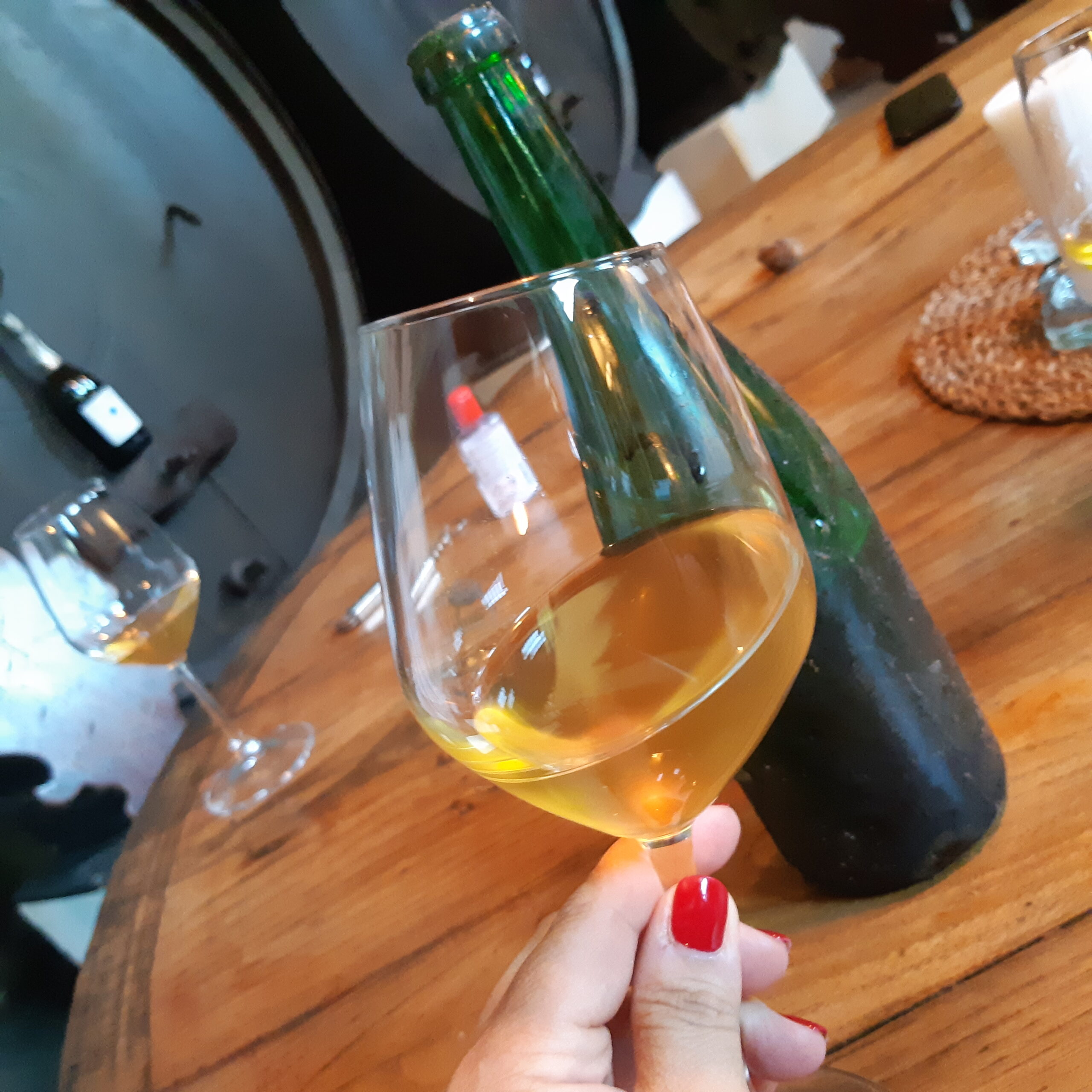 Prosecco dal 1754: Alla Scoperta del Vino degli Dei, foto di Carol Agostini