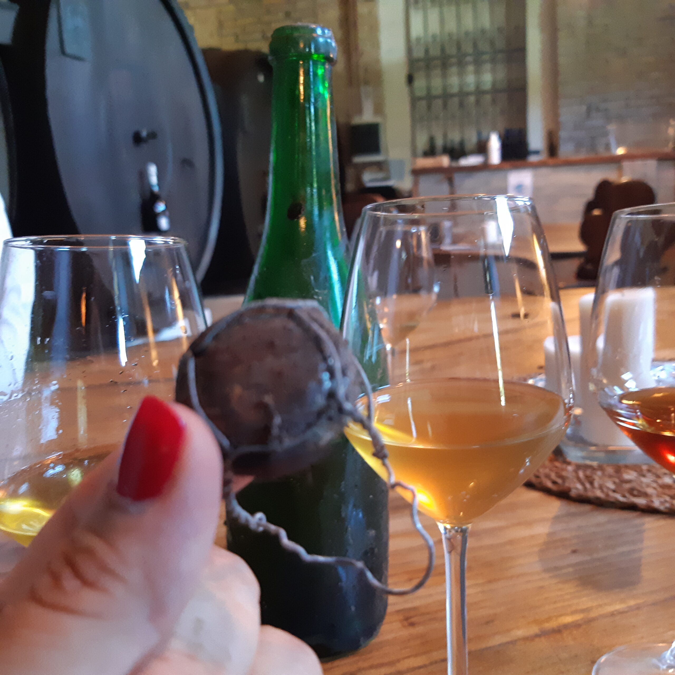 Assaggi di Prosecco annate vecchie, glera passito, foto di Carol Agostini