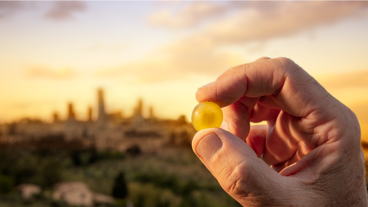 Vernaccia di San Gimignano, il suo disciplinare dal 1966, immagine da comunicato stampa