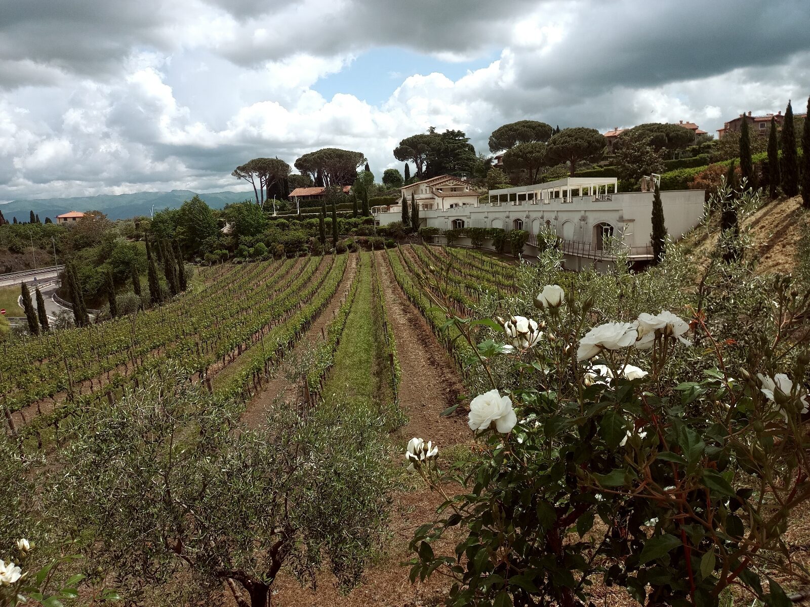 La Tenuta di Poggio Le Volpi, articolo: PROGETTO ROMA DOCet 2023, un viaggio sensoriale intenso, foto di Cristina Santini