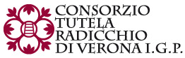 19° Concorso Gastronomico Radicchio d’Argento 2023, logo da sito