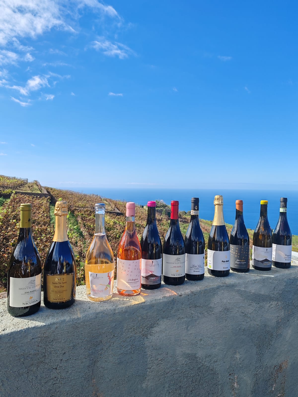 Amor Primera a Copa dalla Sicilia alla Spagna in calice 2023, foto di Marco Marcialis, bottiglie delle cantine partecipanti sulla terrazza dell'iconica Bodega Monje