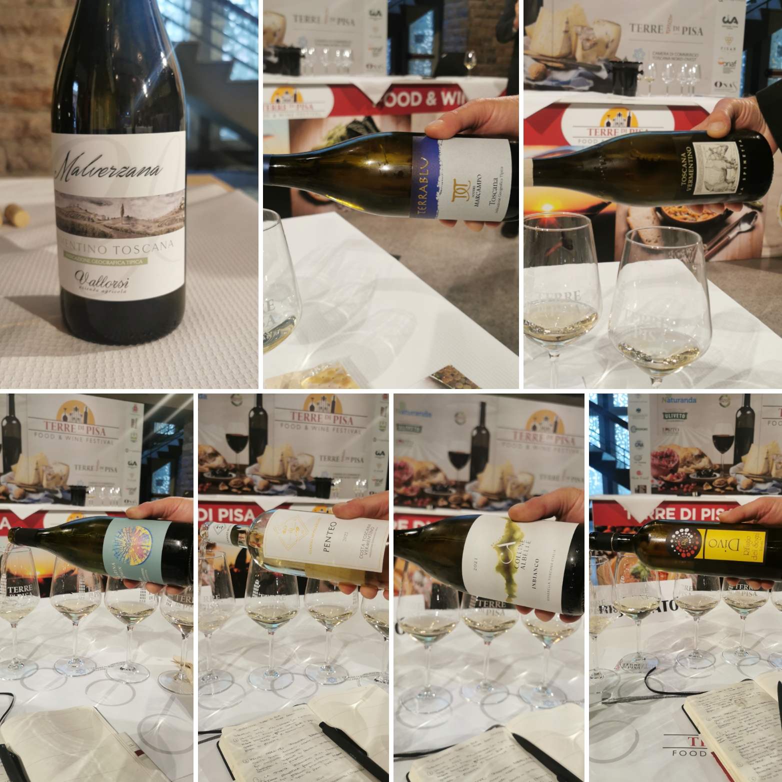 Masterclass di Vermentino, articolo: Terre di Pisa 2023, un ottobre tutto da degustare di zona, foto di Elsa Leandri, foto di Elsa Leandri