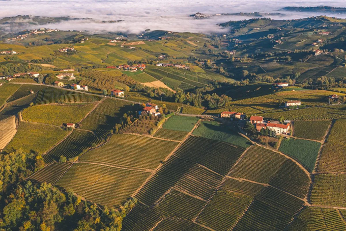 Azienda Agricola FABIO PERRONE dal 1970, assaggi e storia. foto dal sito