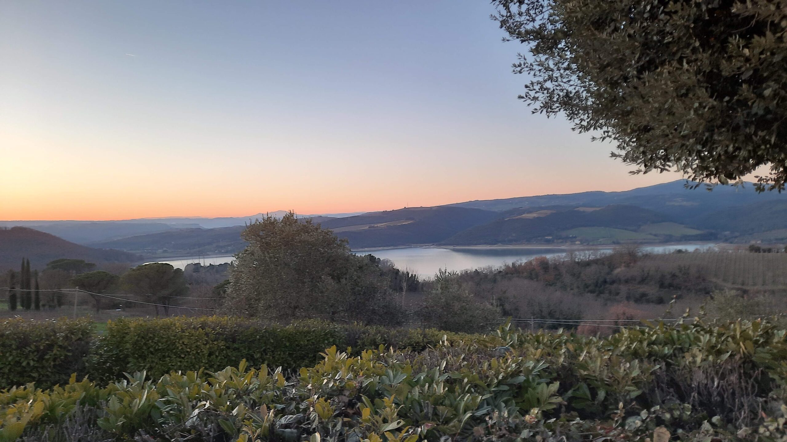 Cantina Barberani, vicino a Orvieto primi assaggi del 2024, foto dell'autore, Vista sul Lago di Corbara