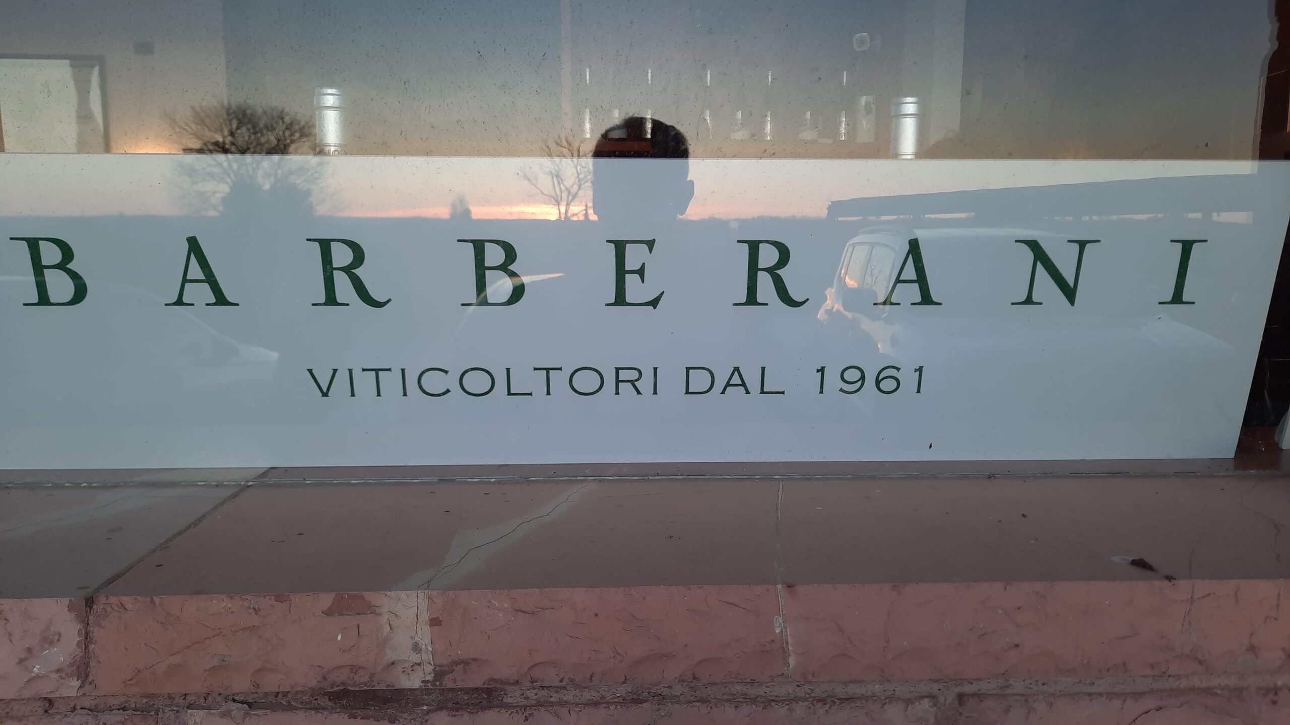 Cantina Barberani, vicino a Orvieto primi assaggi del 2024, foto dell'autore