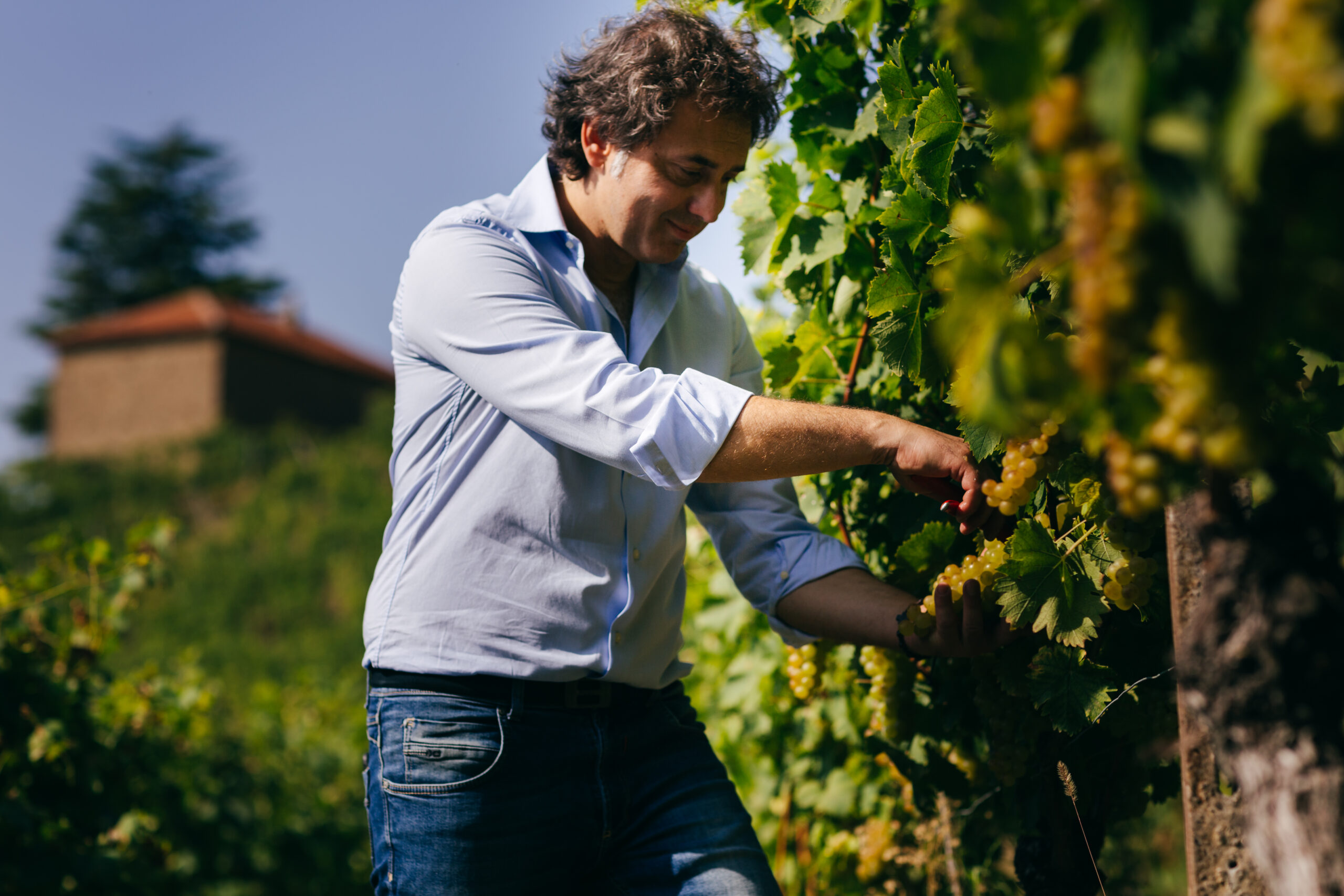 Beppe Marino una realtà piemontese dal 1972 vini di qualità, foto da sito, Maurizio Marino in vigna