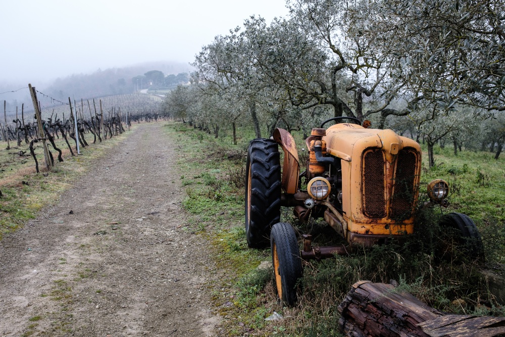 Chianti Lovers e Rosso Morellino 2024, altri assaggi, foto da sito consorzio